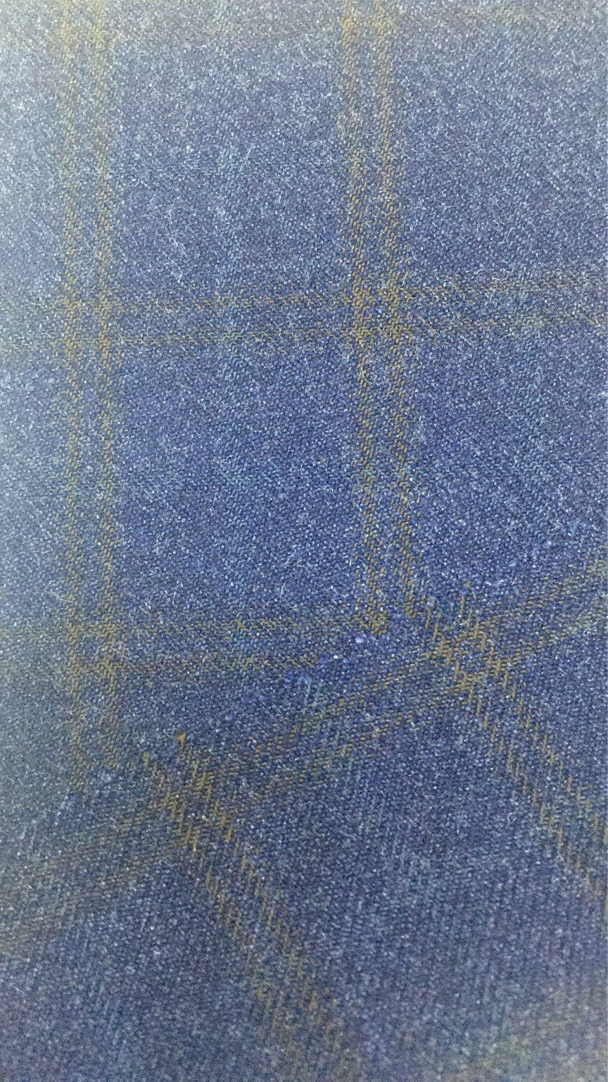 SY173538